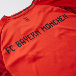 Bayern Munich Thuisshirt 2024/25 Lange Mouwen